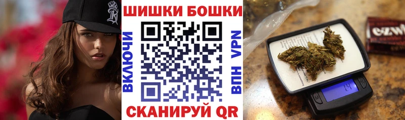 Бошки Шишки планчик  Талица 